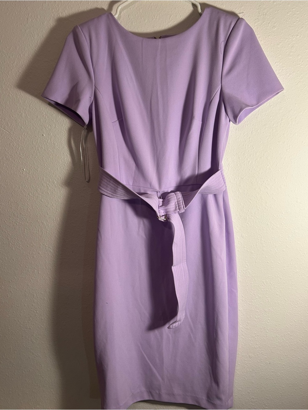 Calvin Klein Lilac Belted Sheath Dress - Women